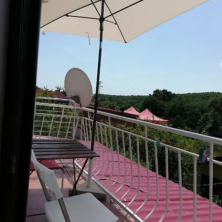 двойна фани Penzion Sinemorec